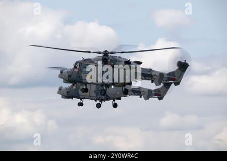 Due elicotteri Leonardo Wildcat HMA2 del 825 Naval Air Squadron Yeoviltion, che formano la squadra di elicotteri Black Cats, arrivano alla RAF Fairford Foto Stock