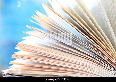 Open book, lettura, apprendimento, istruzione o concetto di home Office. Scatti super ravvicinati con profondità di campo ridotta e omogenea, puntare in modo netto nel terreno di foraggio. Foto Stock