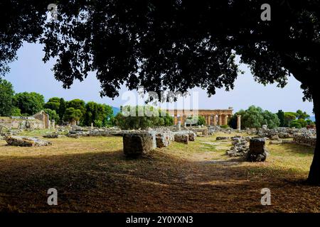 Immagini a colori e fotografi la magnificenza dei templi e degli scavi archeologici dell'antica città greca di Paestum, Italia, Campania, sale Foto Stock