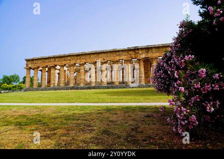 Immagini a colori e fotografi la magnificenza dei templi e degli scavi archeologici dell'antica città greca di Paestum, Italia, Campania, sale Foto Stock