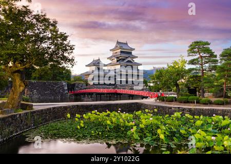 Lo storico castello di Matsumoto a Matsumoto, Giappone all'alba. Foto Stock