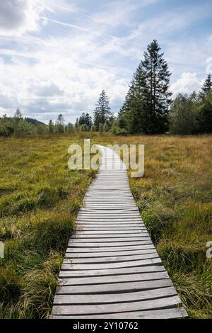 passeggiata sul lungomare del Polleur Fens a Mont Rigi, High Fens, Waimes, Vallonia, Belgio. Bohlenweg im Polleur-Venn am Mont Rigi, Hohes Venn, Waimes, Wallonie Foto Stock