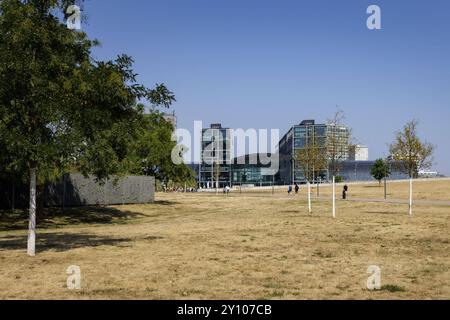 Vertrocknete Wiese im Spreebogenpark di Berlino, 04.09.2024. Im Hintergrund der Berliner Hauptbahnhof. Berlin Deutschland *** prato essiccato a Spreeboge Foto Stock