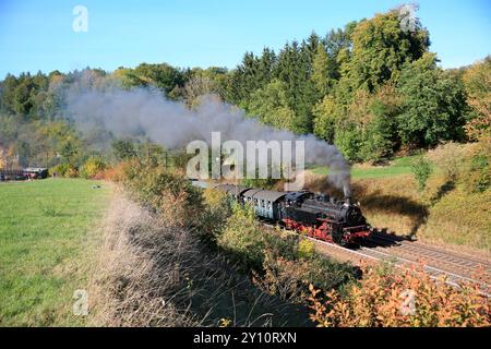 Storico treno a vapore della Swabian Alb Railway e della ferrovia a cremagliera Honau-Lichtenstein amici con una locomotiva a vapore a cremagliera da Maschinenfabrik Esslingen sulla Geislinger Steige tra Geislingen e Amstetten Foto Stock