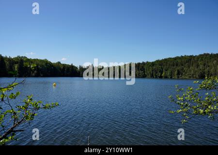 Germania, Baviera, alta Baviera, Chiemgau, Eggstätt, Eggstätt-Hemhofer Seenplatte, Hartsee Foto Stock