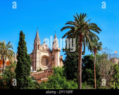 Fuori e intorno per le strade di Palma di Maiorca, la Cattedrale di la Seu Foto Stock