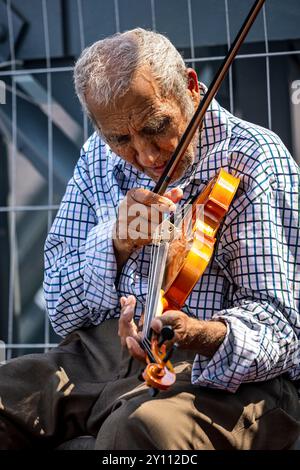 Un musicista di strada ungherese a Budapest Foto Stock