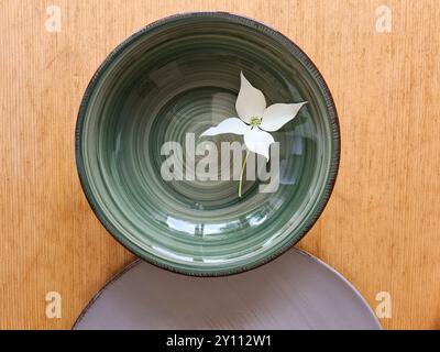 Un fiore bianco di legno di pino con stelo giace decorativamente su una ciotola verde con piatto Foto Stock