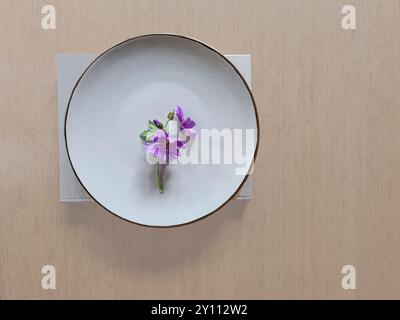 Il fiore della gru viola in fiore giace su un piatto grigio chiaro Foto Stock