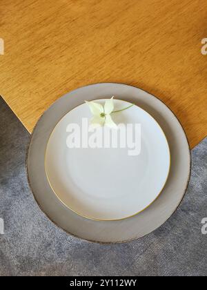 Un fiore bianco di legno di cane con stelo si trova decorativamente su un piatto bianco con un piattino grigio su un tavolo di legno Foto Stock