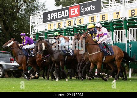 Windsor, Berkshire, Regno Unito. 2 settembre 2024. Partecipanti alle corse per disabili presso l'Hamish Johnson Memorial (Classe 6) (Div II). La gara è stata vinta da STINTINO SUNSET guidato dal fantino Dylan Hogan al Monday Night Racing Meeting al Royal Windsor Racecourse nel Berkshire. Proprietario The Stevedores, Trainer Julia Feilden, Newmarket, breeder S Clarke, G Parsons & A Wideson, Sponsor Vaillant UK. Crediti: Maureen McLean/Alamy Foto Stock