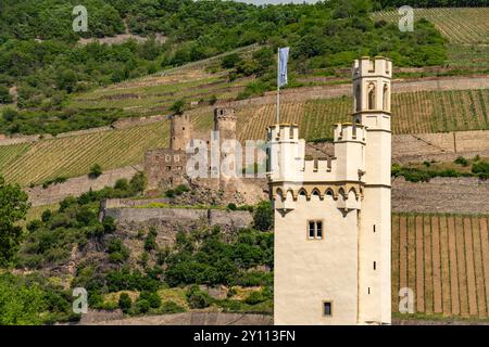 La torre del mouse a Bingen am Rhein, Renania-Palatinato e il castello di Ehrenfels a Rüdesheim, Assia, patrimonio dell'umanità, Valle del Reno medio superiore, Germania, Foto Stock