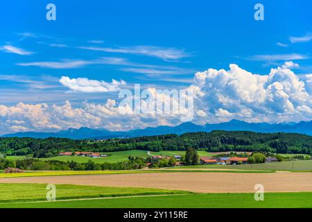 Germania, Baviera, distretto di Ebersberg, Glonn, Herrmannsdorf, vista da Labyrinthberg verso le Alpi Chiemgau Foto Stock
