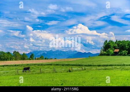 Germania, Baviera, distretto di Ebersberg, Glonn, distretto di Westerndorf, vista dal Cafe West alle Kaiser Mountains Foto Stock