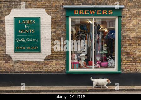 Inghilterra, Kent, Sandwich, scena di strada con vetrina Foto Stock