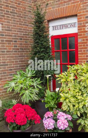 Inghilterra, Kent, Sandwich, piccolo giardino di fronte al Royal mail Sorting Office con tradizionale cabina telefonica rossa Foto Stock