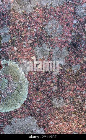 Pavimentazione di pietra con licheni, natura morta, carta da parati Foto Stock