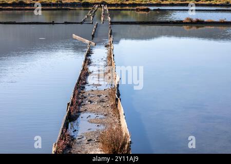 Le saline di Porto Vecchio, non più in funzione dalla fine degli anni '80, oggi meta di passeggiate nella natura nei dintorni della città, Corse-du-Sud, Corsica, Francia Foto Stock