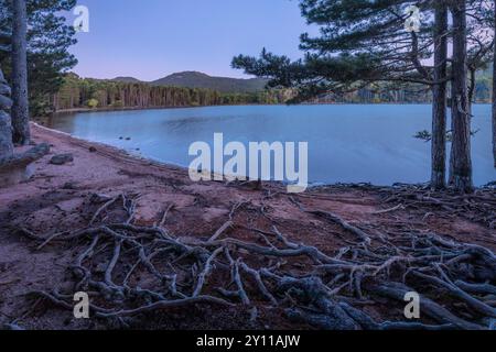 Il Lac de l'ospedale, area naturale di interesse faunistico e floristico ecologico nei pressi di Porto Vecchio, dipartimento della Corse-du-Sud, Corsica, Francia Foto Stock