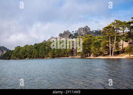 Il Lac de l'ospedale, area naturale di interesse faunistico e floristico ecologico nei pressi di Porto Vecchio, dipartimento della Corse-du-Sud, Corsica, Francia Foto Stock