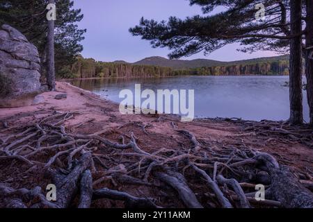 Il Lac de l'ospedale, area naturale di interesse faunistico e floristico ecologico nei pressi di Porto Vecchio, dipartimento della Corse-du-Sud, Corsica, Francia Foto Stock