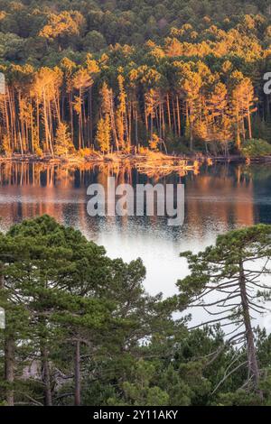 LAC de l'ospedale, area naturale di interesse faunistico e floristico ecologico nei pressi di Porto Vecchio, dipartimento della Corse-du-Sud, Corsica, Francia Foto Stock