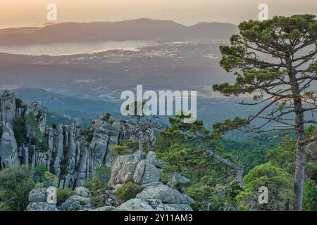 Foresta dell'ospedale, paesaggio naturale montano nell'entroterra della Corsica, comune di Porto Vecchio, Corsica meridionale, Francia Foto Stock