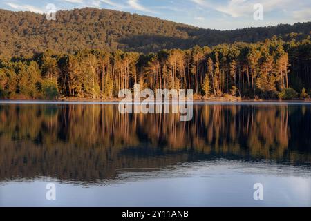 LAC de l'ospedale, area naturale di interesse faunistico e floristico ecologico nei pressi di Porto Vecchio, dipartimento della Corse-du-Sud, Corsica, Francia Foto Stock