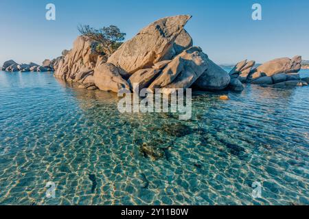 Formazioni rocciose di granito sulla spiaggia di Tamaricciu, Palombaggia, Porto Vecchio, Corse-du-Sud, Corsica, Francia Foto Stock