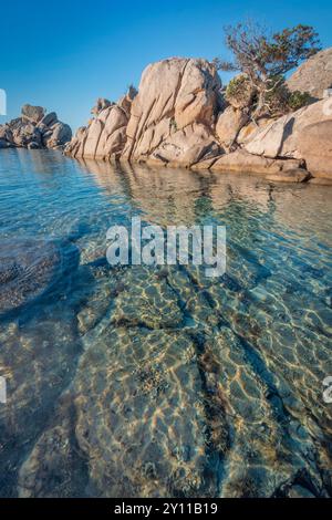 Formazioni rocciose di granito sulla spiaggia di Tamaricciu, Palombaggia, Porto Vecchio, Corse-du-Sud, Corsica, Francia Foto Stock