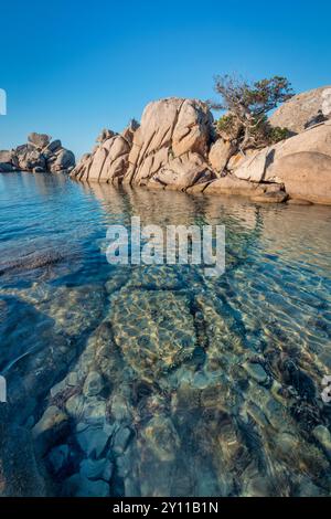 Formazioni rocciose di granito sulla spiaggia di Tamaricciu, Palombaggia, Porto Vecchio, Corse-du-Sud, Corsica, Francia Foto Stock