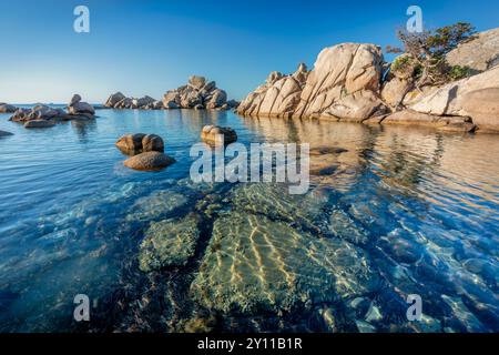 Formazioni rocciose di granito sulla spiaggia di Tamaricciu, Palombaggia, Porto Vecchio, Corse-du-Sud, Corsica, Francia Foto Stock