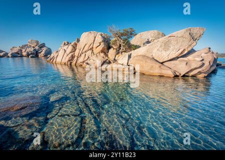 Formazioni rocciose di granito sulla spiaggia di Tamaricciu, Palombaggia, Porto Vecchio, Corse-du-Sud, Corsica, Francia Foto Stock