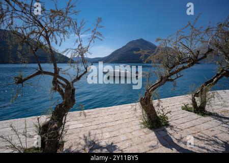 Viaggio nella baia di cattaro Foto Stock