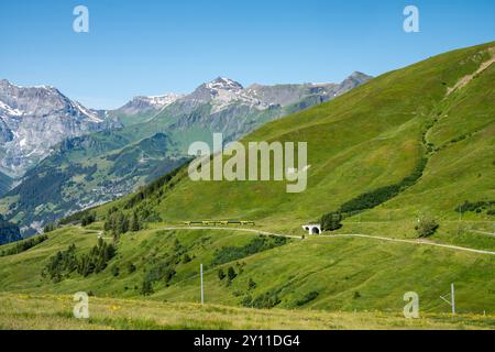 Il treno svizzero viaggia da Lauterbrunnen a Kleine Scheidegg nelle Alpi svizzere in estate Foto Stock