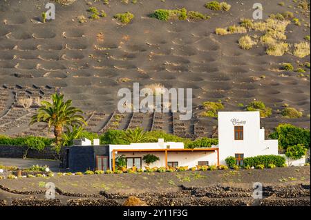 Spagna, Provincia di Las Palmas, Isole Canarie, Lanzarote, la Geria, regione viticola Foto Stock