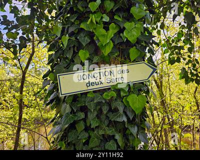 Confluenza della Saar Rossa e Bianca alla Saar in Hermelange, dipartimento Mosella, Grand Est, Alsazia-Champagne-Ardenne-Lorena, Francia Foto Stock