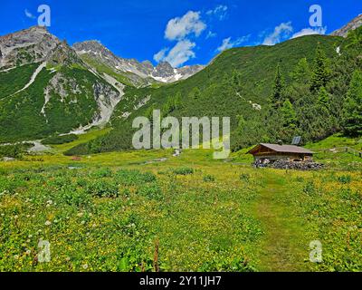 Presso l'Obere Lochalm, sulla discesa dal Seescharte nella Lochbachtal verso Zams, Alpi interne, Tirolo, Austria, sentiero escursionistico E5, attraversamento alpino da Oberstdorf a Merano Foto Stock