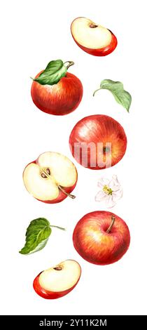 Frutta fresca di mela dolce. Illustrazione ad acquerello disegnata a mano isolata su sfondo bianco Foto Stock