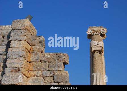 Izmir, Turchia. Colonna greco-romana e rovine della storica antica città di Efeso. Foto Stock