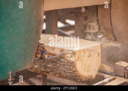 Vista ravvicinata di una segheria con tronchi di grandi dimensioni tagliati da una sega a nastro. La lama è a fuoco, mostrando il meccanismo di taglio, mentre il tronco e la sega Foto Stock