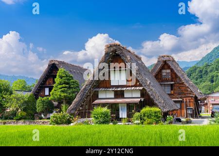 Ogimachi, Shirakawa, Giappone, con case coloniche con tetto in paglia in estate. Foto Stock