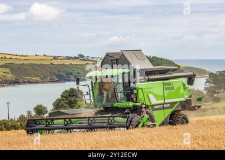 Raccolta dell'orzo primaverile presso Harbour View, Kilbrittain, Co Cork, settembre 2024 Foto Stock