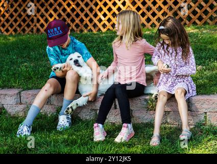 Tre bambini piccoli con il cane Golden Retriever di colore platino. Foto Stock