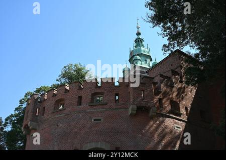 Mura esterne del Castello di Wawel a Cracovia. Foto Stock