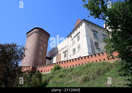 Mura esterne del Castello di Wawel a Cracovia. Foto Stock