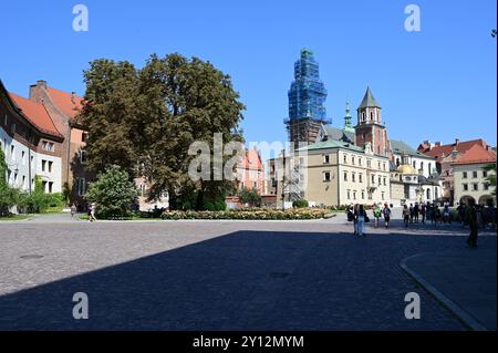 Mura esterne del Castello di Wawel a Cracovia. Foto Stock