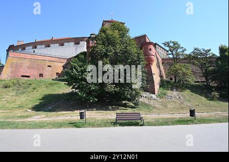 Mura esterne del Castello di Wawel a Cracovia. Foto Stock