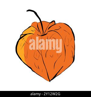 Illustrazione pop art Orange physalis, semplice stile digitale Foto Stock