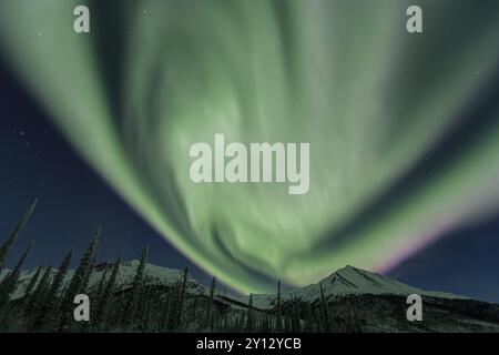 Aurora boreale su montagne e alberi innevati, Aurora boreale, Brooks Range, Alaska Foto Stock